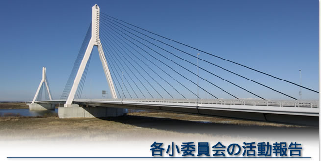各小委員会の活動報告｜北海道土木技術会 鋼道路橋研究委員会